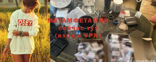 шишки Мегион