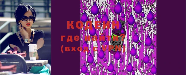 шишки Мегион