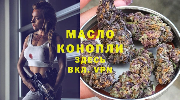 шишки Мегион