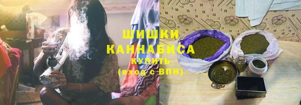 шишки Мегион