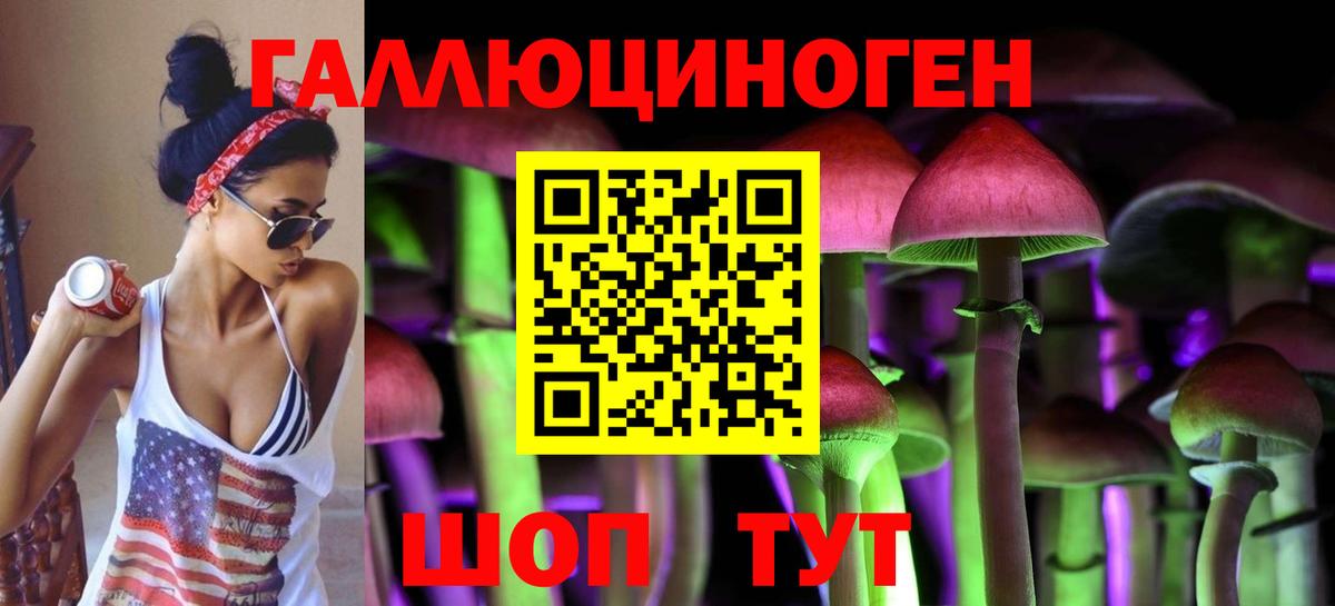 Галлюциногенные грибы GOLDEN TEACHER  Канск 